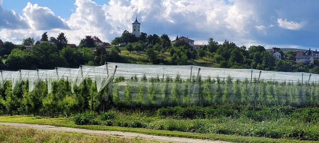 Umgebung Ferienwohnung am Rotach